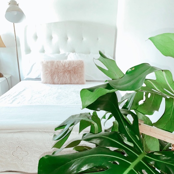 Pink fur pillow - Picture 2 of 2